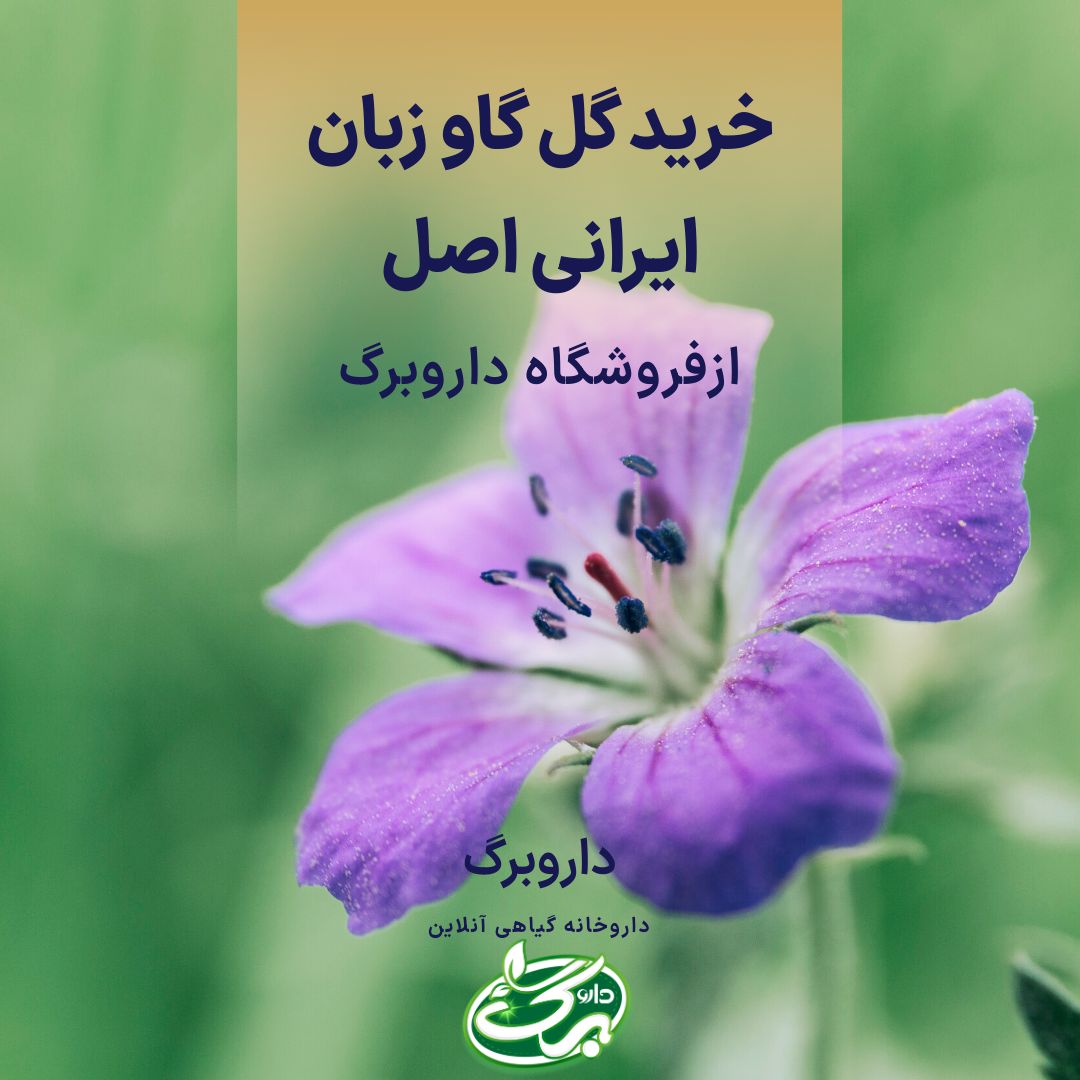 خرید آنلاین گل گاوزبان با بهترین کیفیت