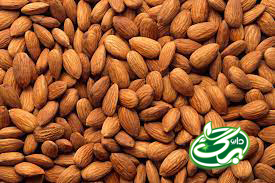 بادام درختی
