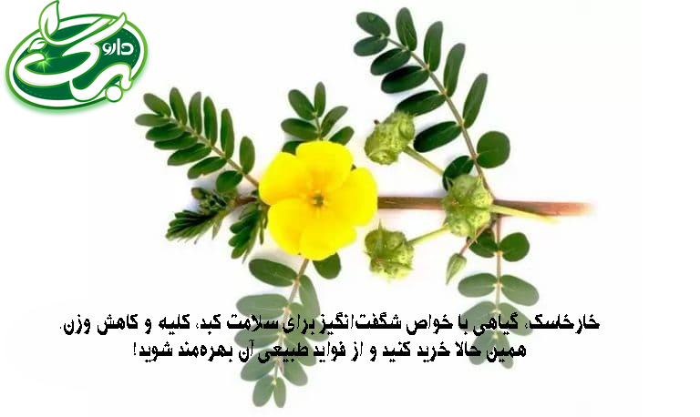 خواص خارخاسک