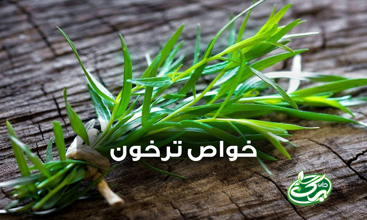 خواص ترخون خشک