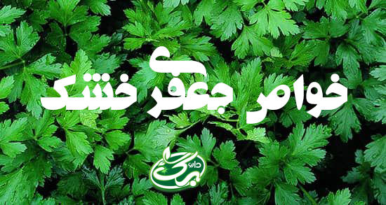 خواص حعفری خشک