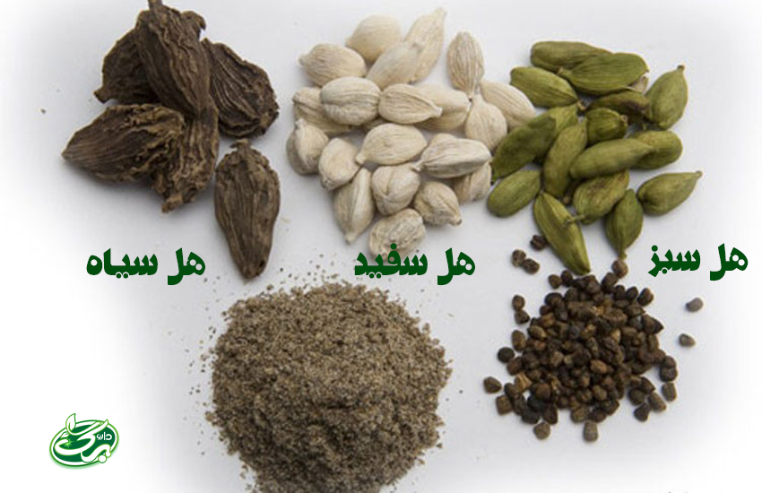 انواع هل: هل سبز، هل سفید، هل سیاه