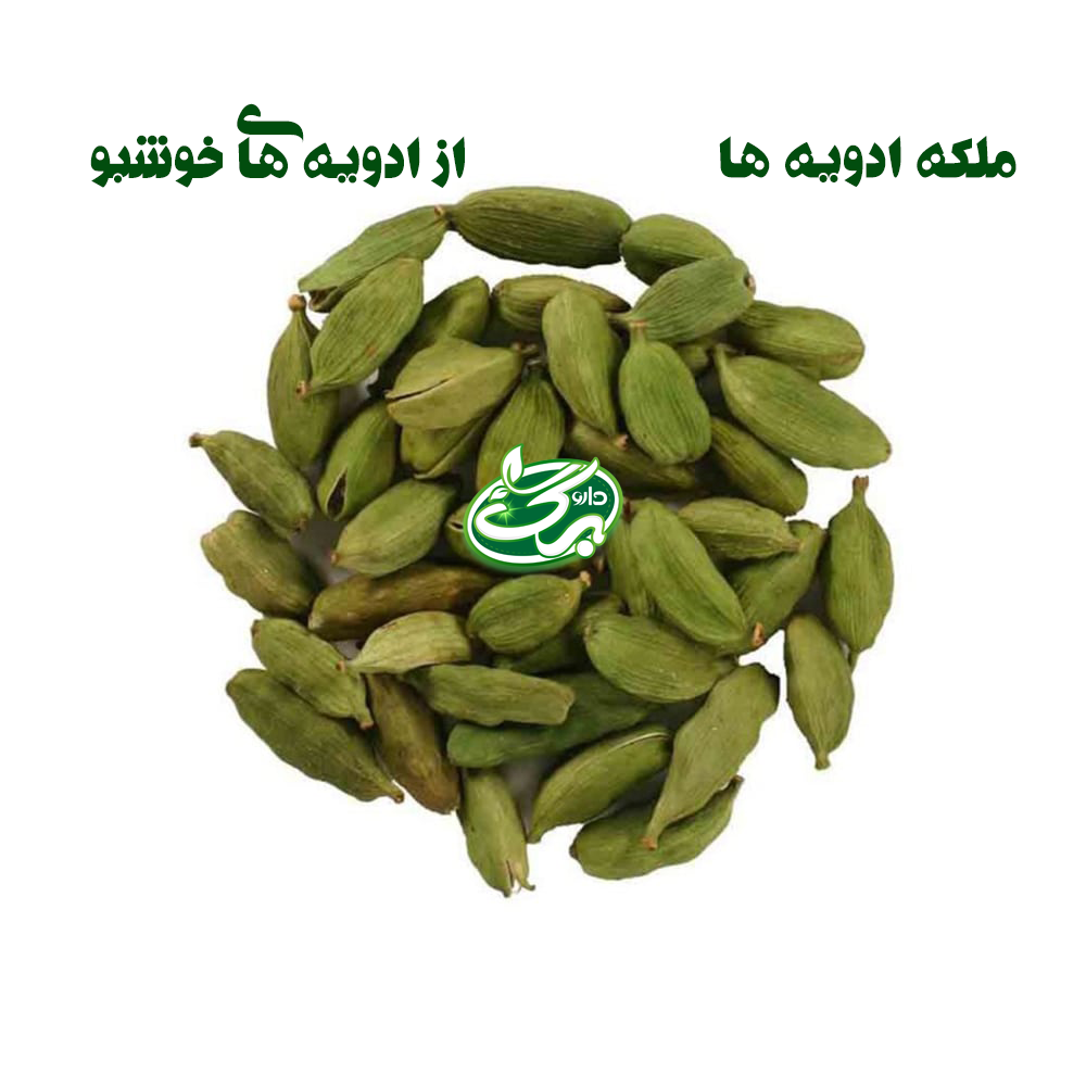 خرید هل سبز از داروبرگ