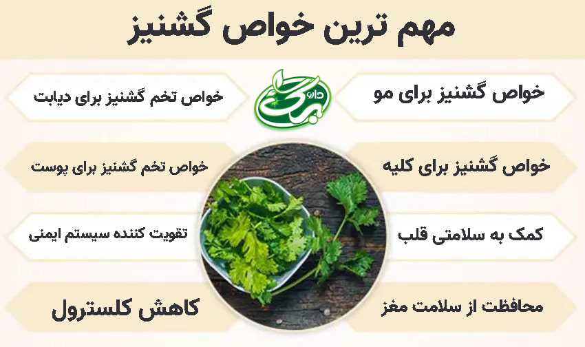 فواید تخم گشنیز