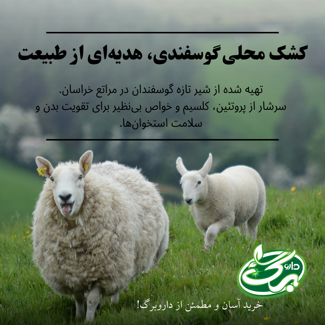 خرید کشک گوسفندی محلی از داروبرگ
