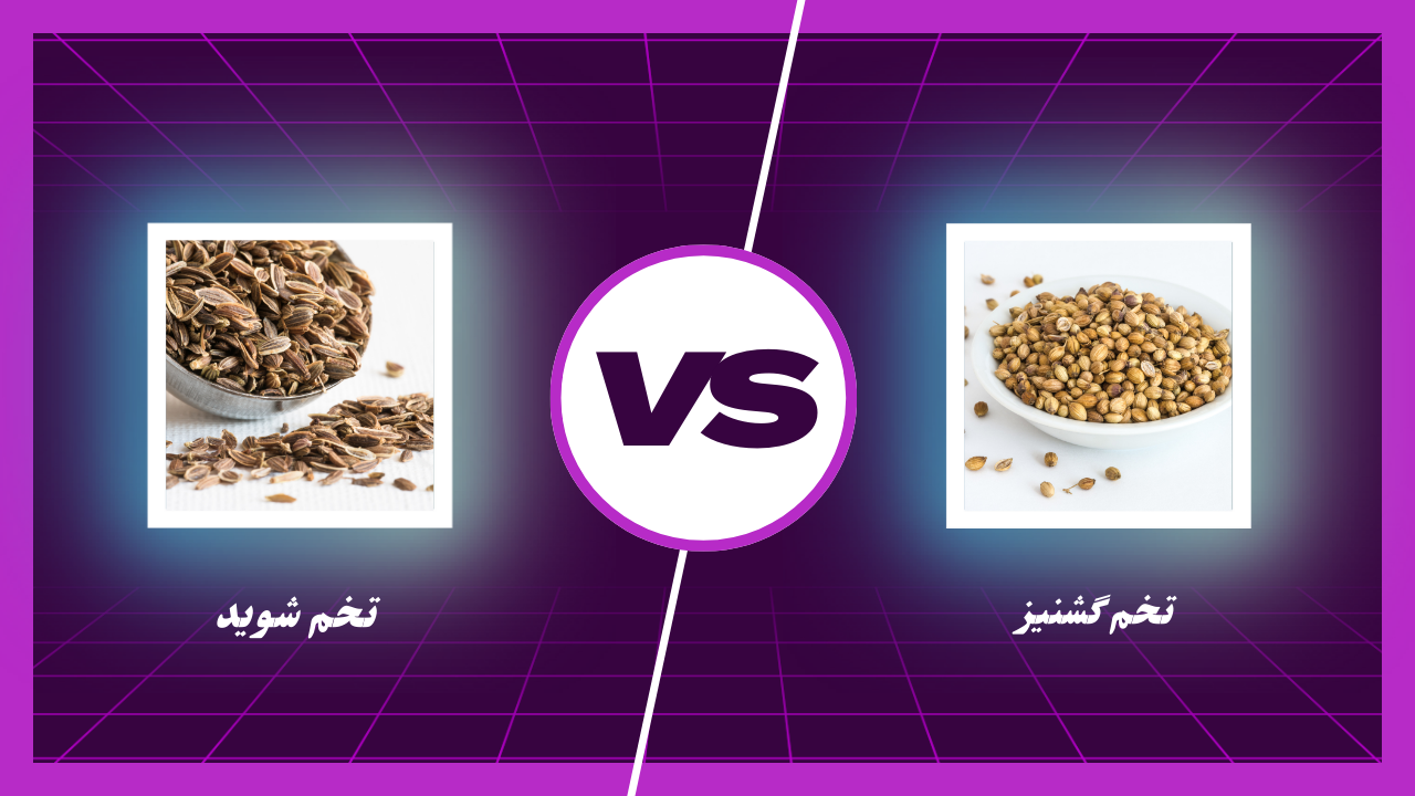 مقایسه تخم شوید و تخم گشنیز -خواص و شباهت و تفاوت