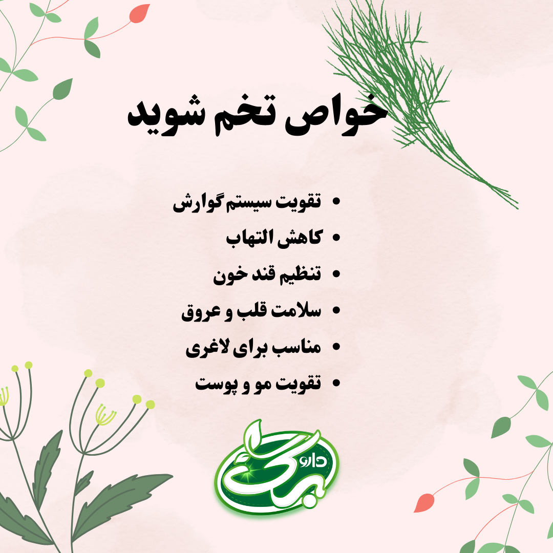 خواص مختلف تخم شوید -داروبرگ