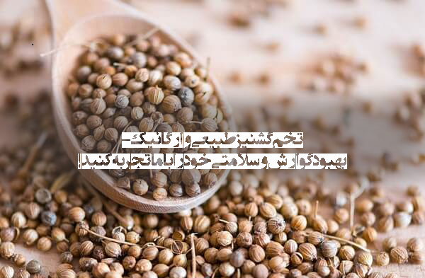 خواص تخم گشنیز داروبرگ
