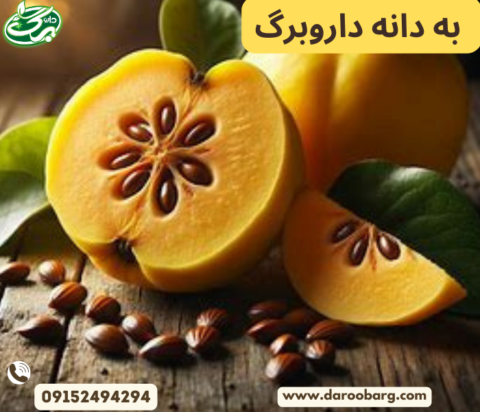 خرید به دانه در بسته های 50 گرمی بصورت آنلاین از داروبرگ