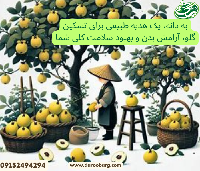 لعاب دانه به نیز در طب سنتی بسیار پرکاربرد است.