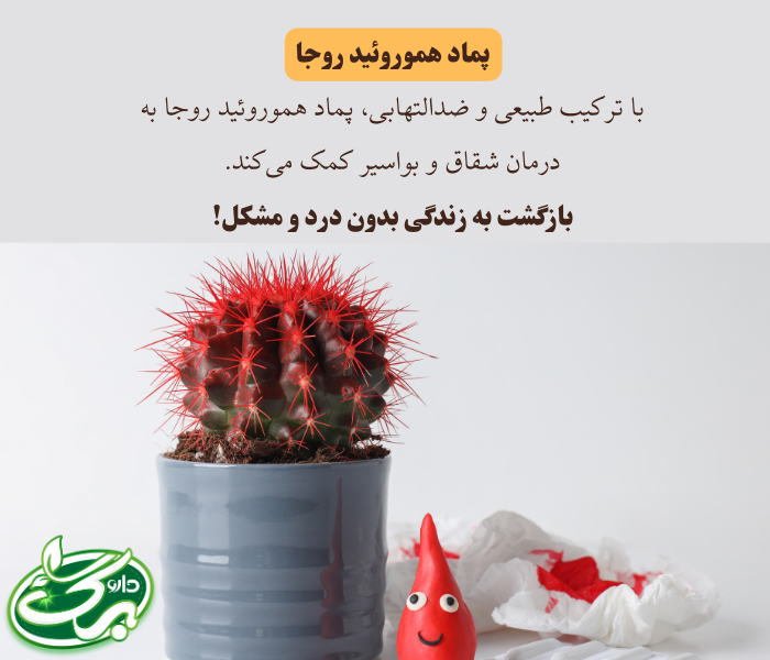 بهترین روش درمان هموروئید از طریق پماد هموروئید روجا