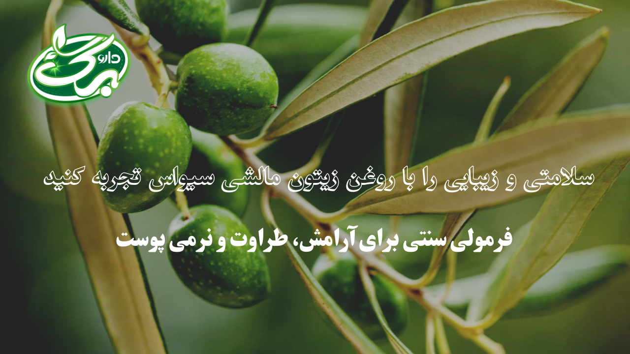 روغن زیتون مالشی سیواس - داروبرگ