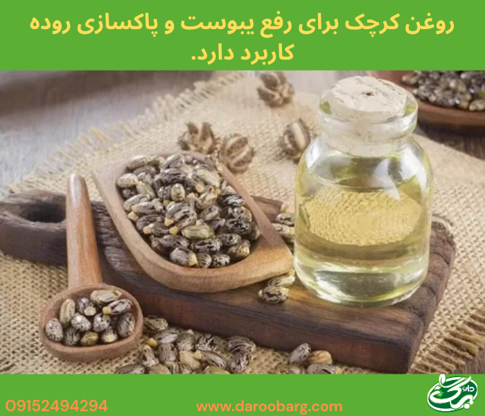 خواص روغن کرچک برای یبوست و پاکسازی معده زیاد است.