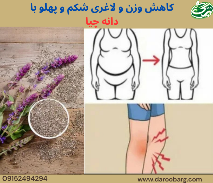 دانه چیا برای لاغری شکم و پهلو کاربرد دارد.