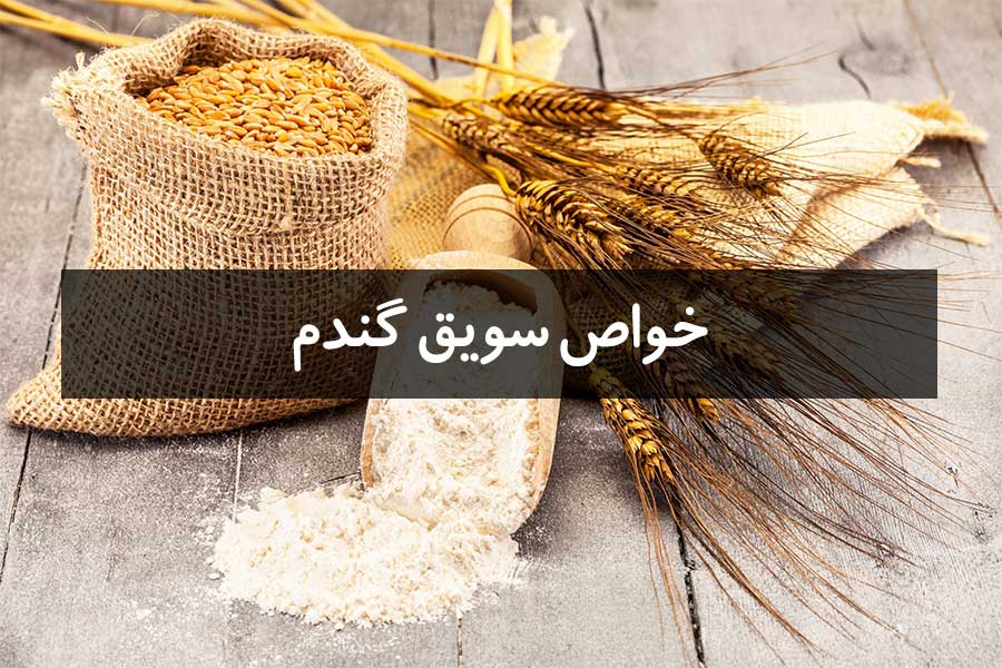 7 خاصیت درمانی سویق گندم در طب سنتی - داروبرگ